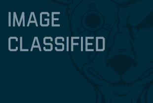 Navy Esports player PS3 Brandon C. Chandler’s portrait is classified.