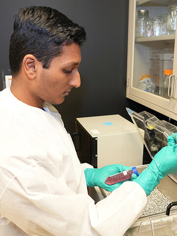 A college student in a laboratory prepares samples and practices his pipetting technique.