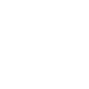 Leadership Icon