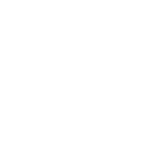 Paycheck Icon