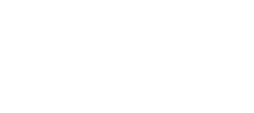 Faces of the Fleet logo