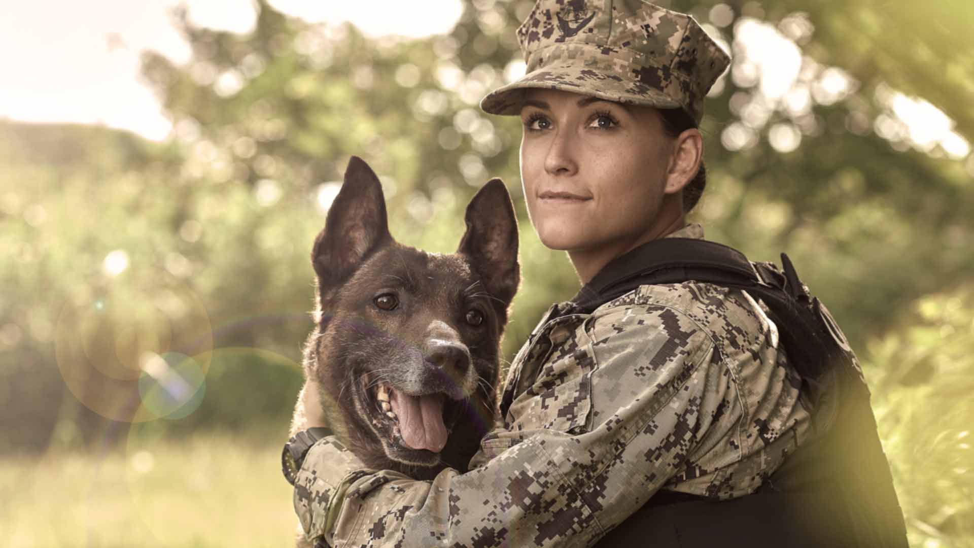 us navy master at arms rachel higuera with german shepherd named chucky, a trained member of the us navy k-9 team 