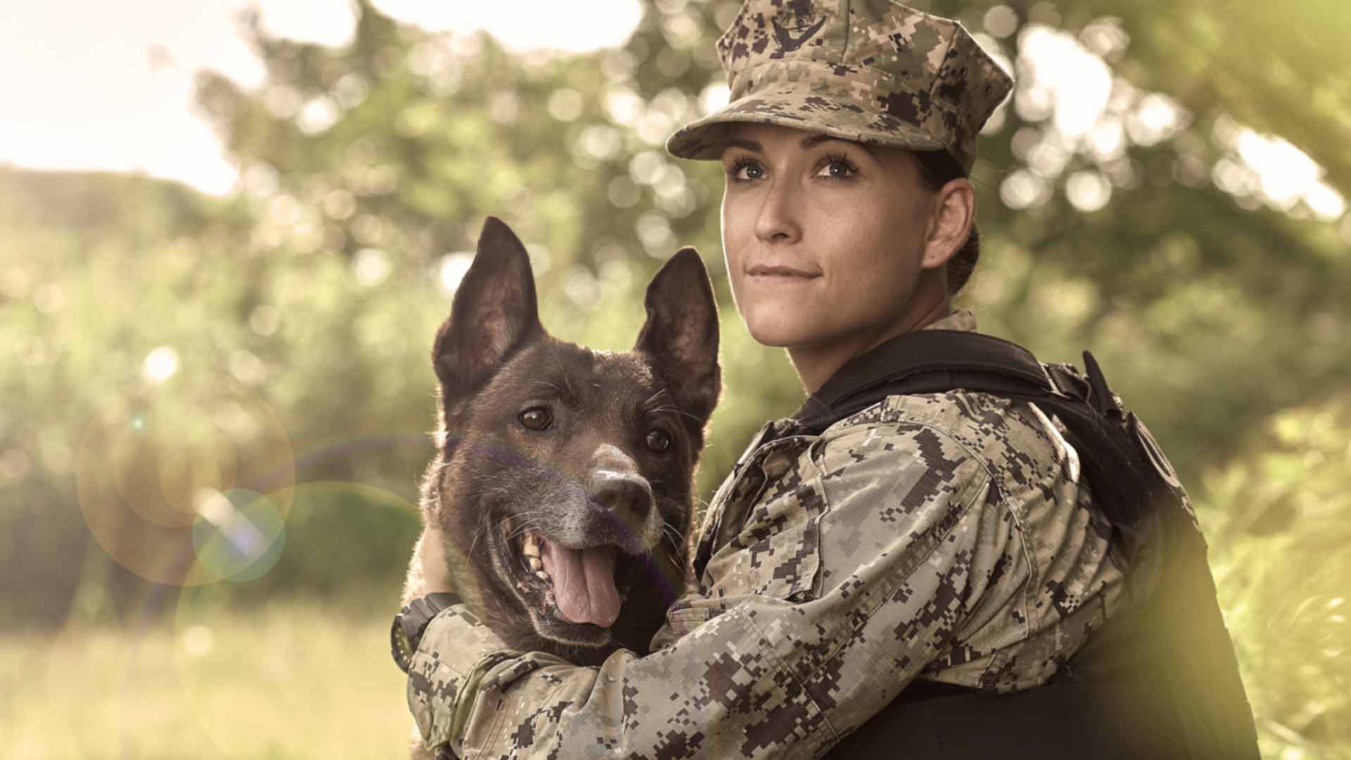 us navy master at arms rachel higuera with german shepherd named chucky, a trained member of the us navy k-9 team