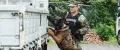 A United States Navy Master-at-Arms practices detection training with her military working dog.